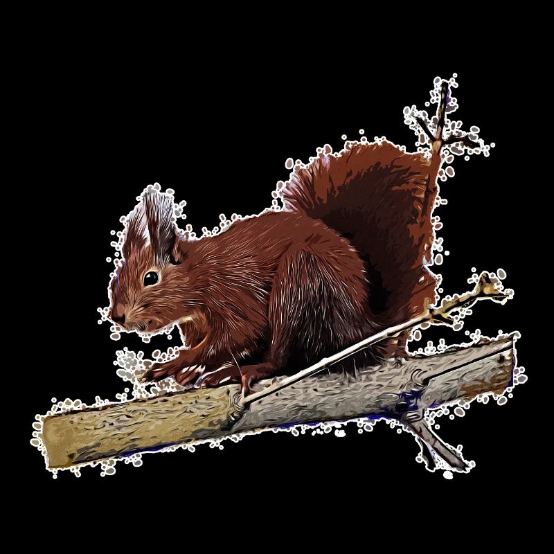 squirrel