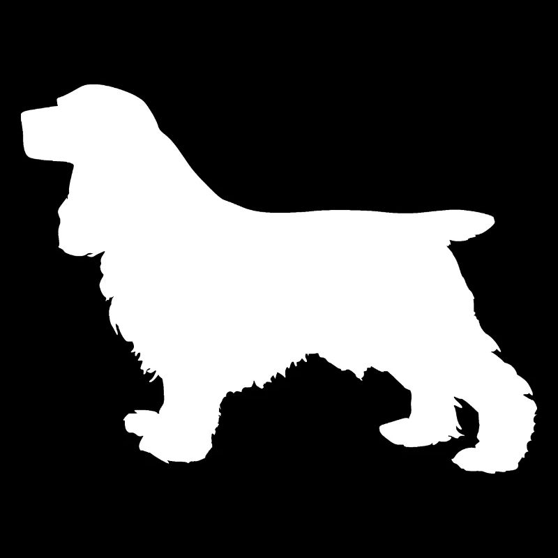 Cocker Spaniel