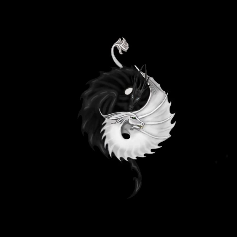 Yin yang dragons