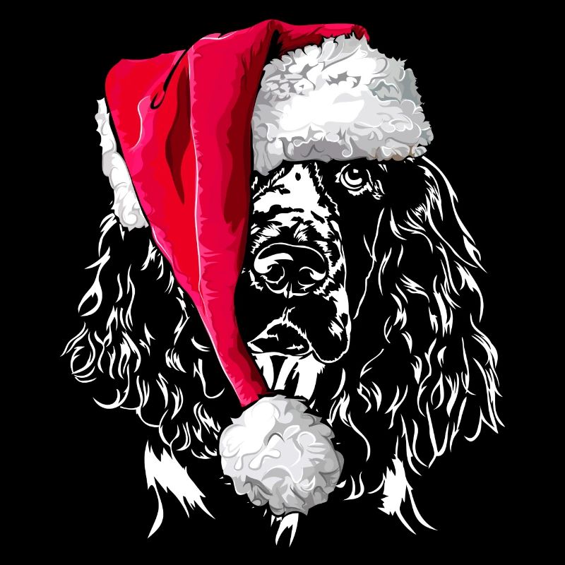 ANGLAIS springer spaniel Noël