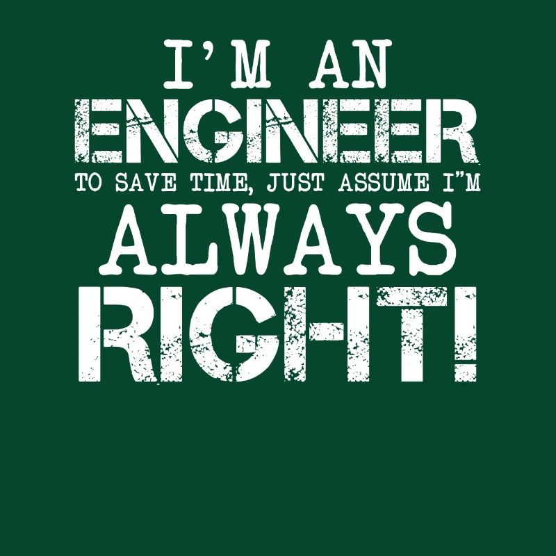 I m An Engineer Save Time Always Assume I m Right