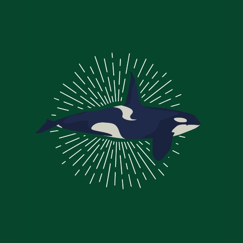 Orcinus orca Schwertwal Killerwal Orca Orka