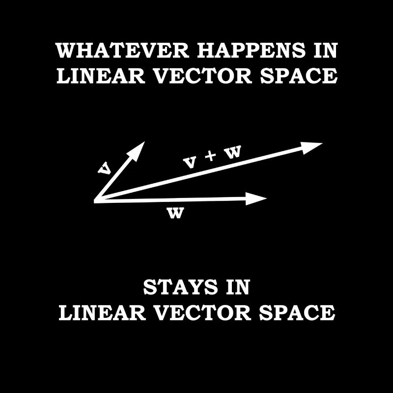Cadeau de professeur de mathématiques espace vectoriel mathématicien