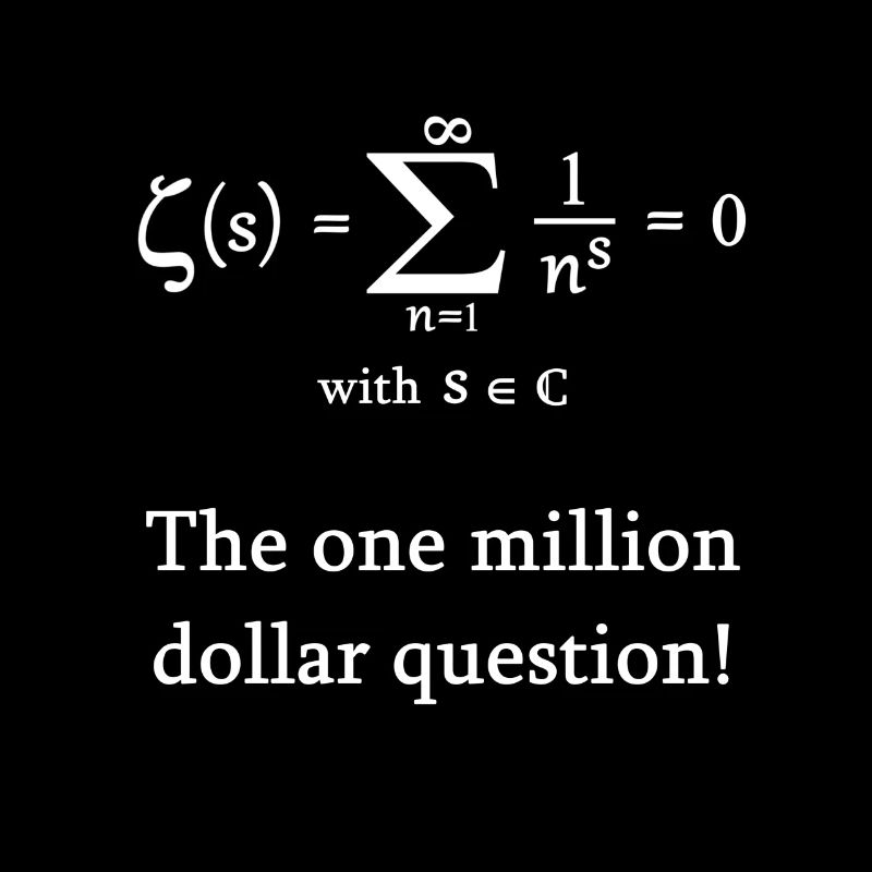 Riemann Zeta Function Math Mathematician Nerd