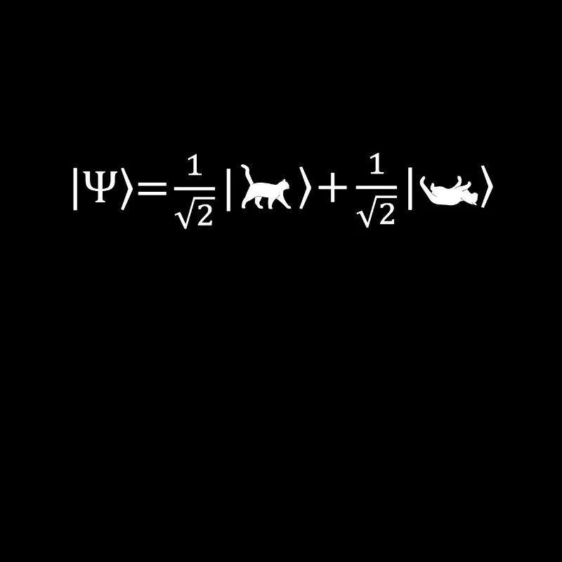 Schrödingers Katze - Physiker Geschenk Physik Nerd