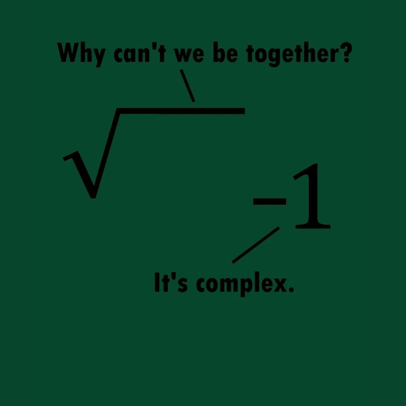 Math joke mathematician gift nerd teacher