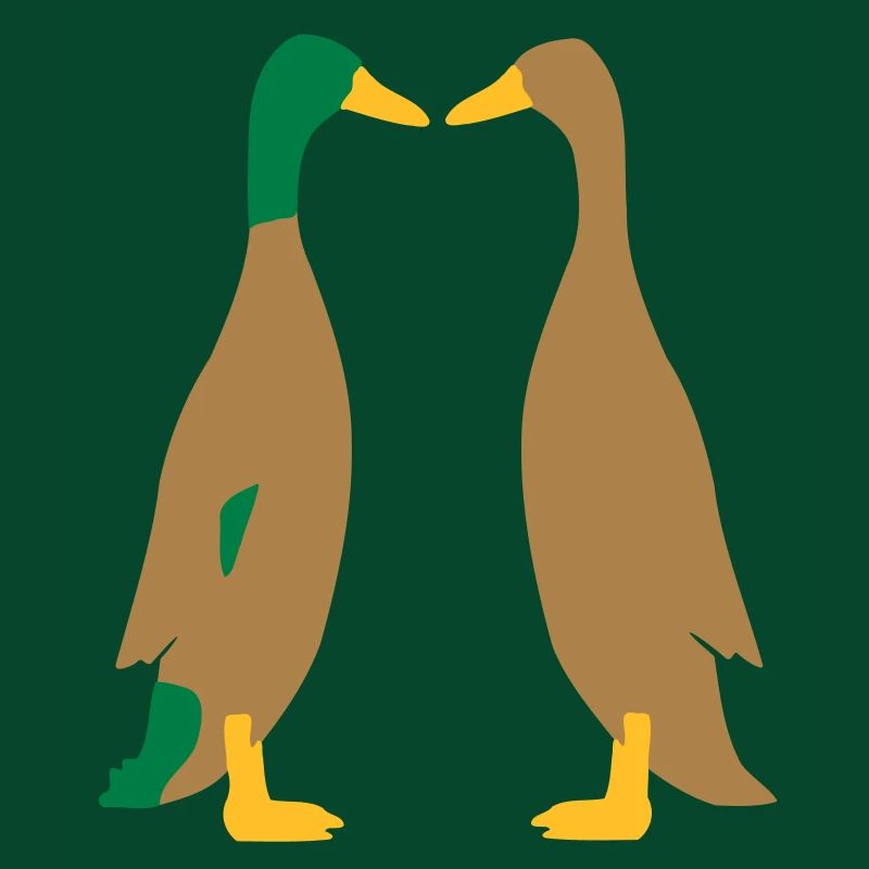 Canard