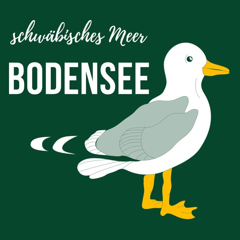 Bodensee Möwe