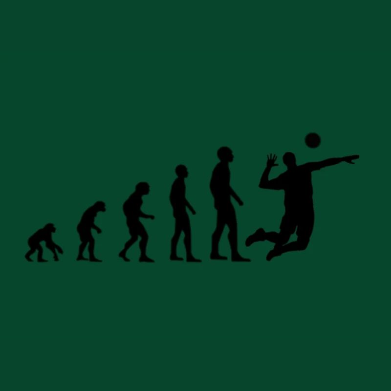 volleyball evolution