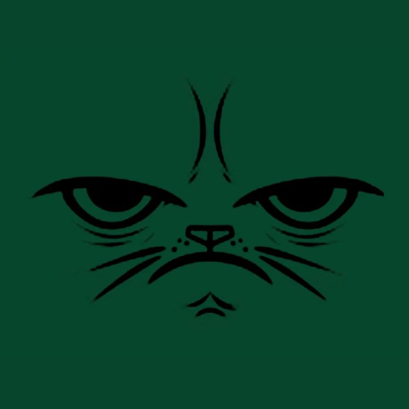 Chat Crumpy - Idée Cadeau Visage Visage