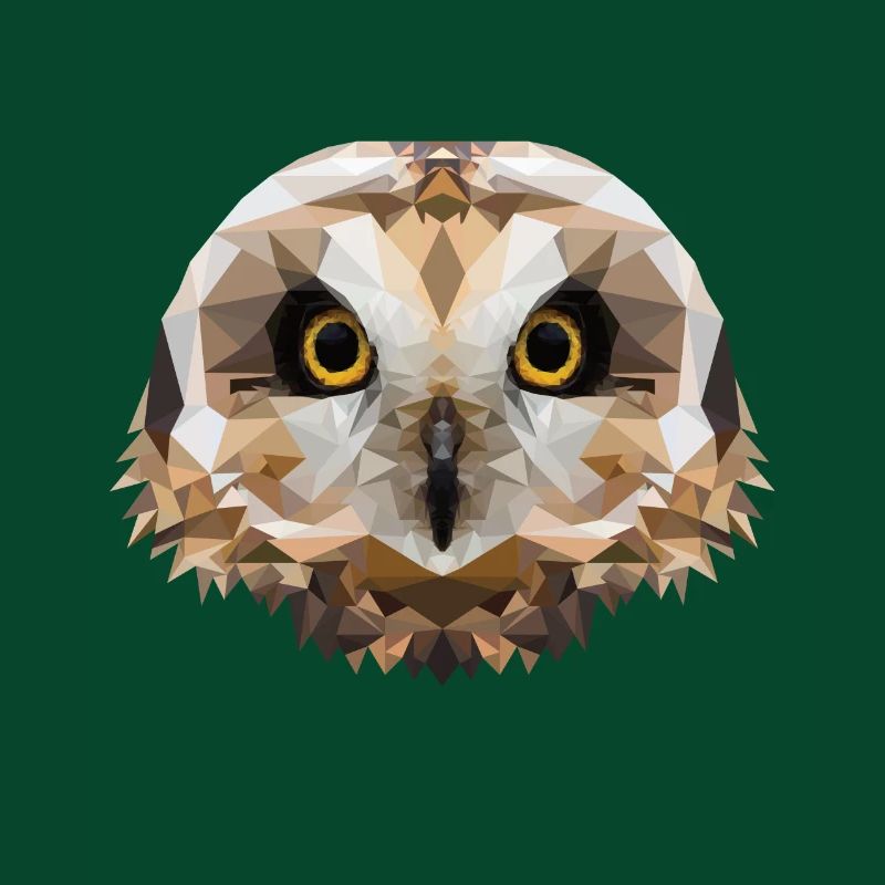 Polygon Sumpfohreule, Eule, Polygon, Tier, Vogel