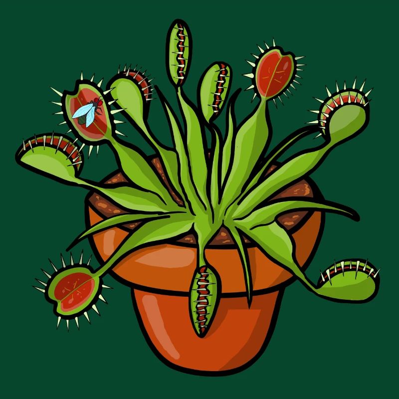 The Venus flytrap can count