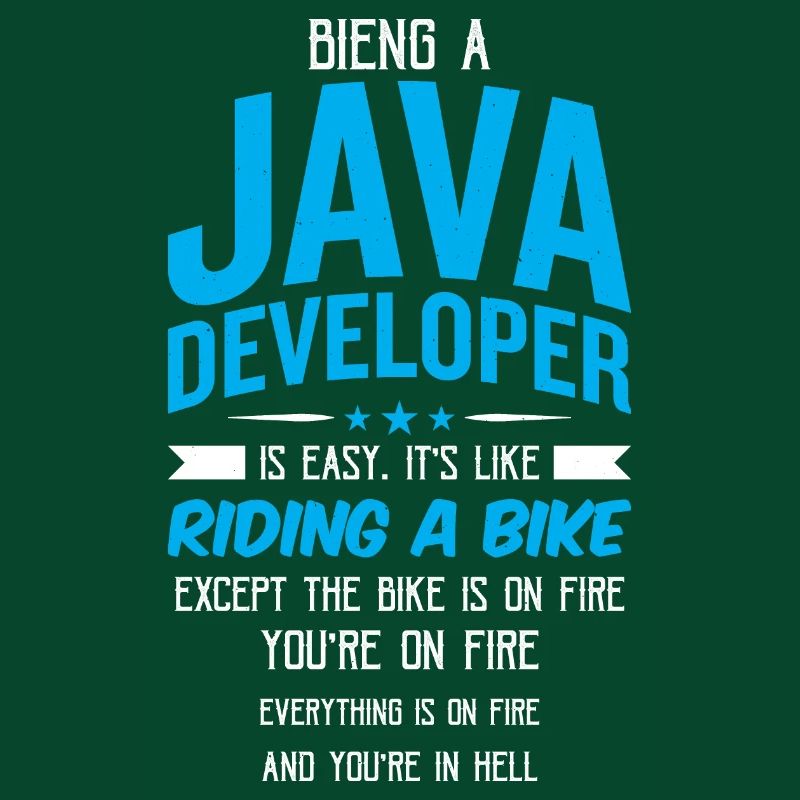 Java Developer