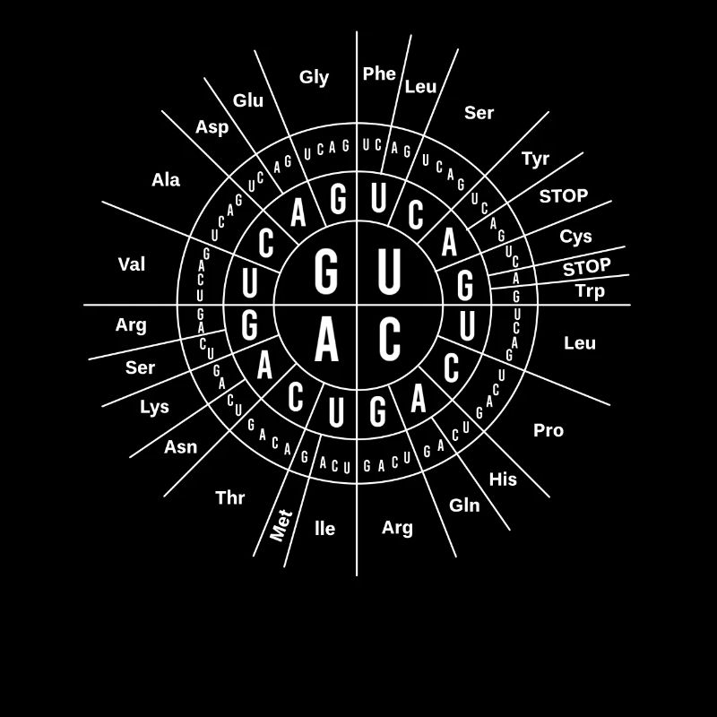 Great Biology Genetics, Sun Code, Funny