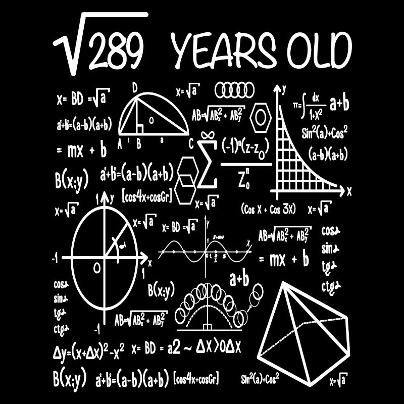 17th birthday math square root