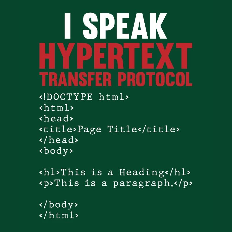 Programmer Coder Software Developer