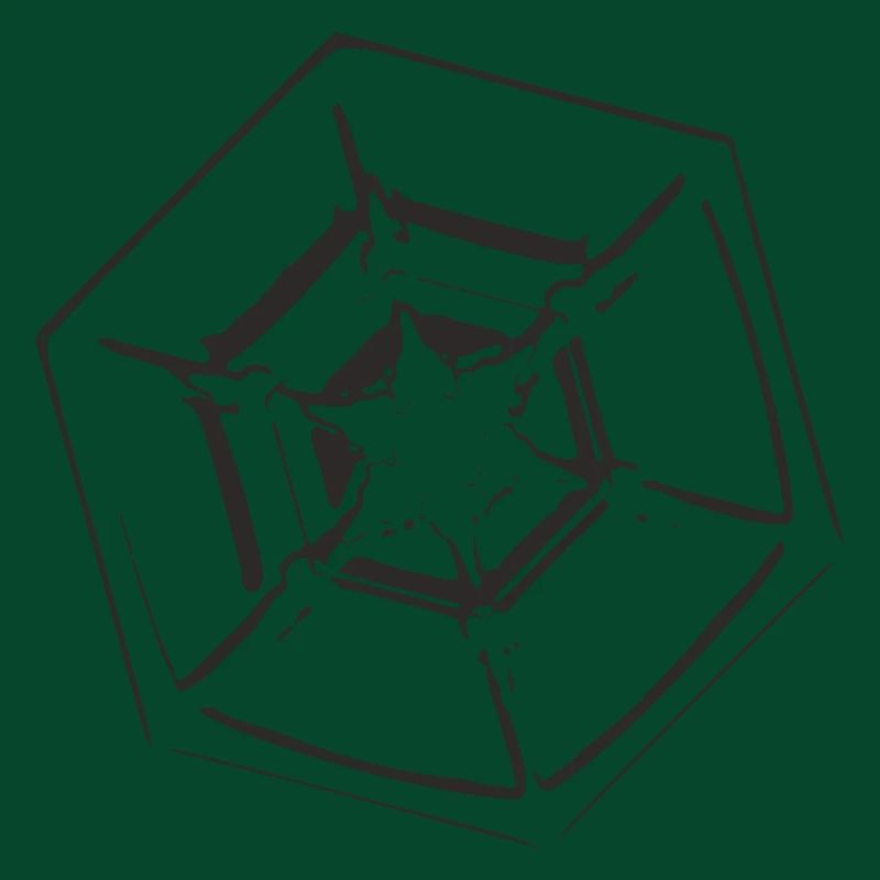 snowflake 4 black