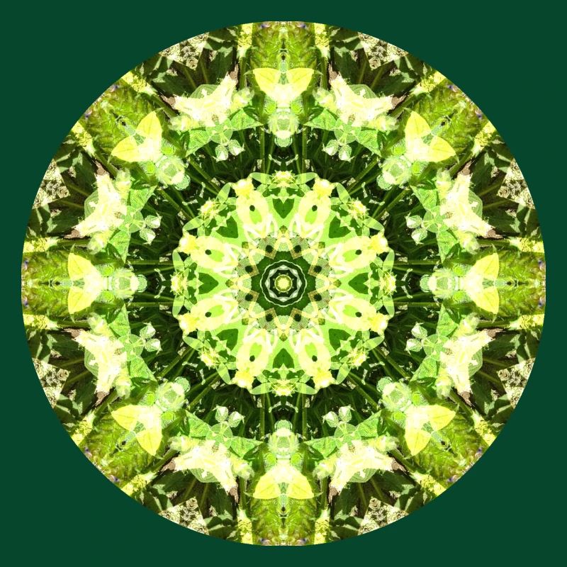 Mandala-Quantum 13