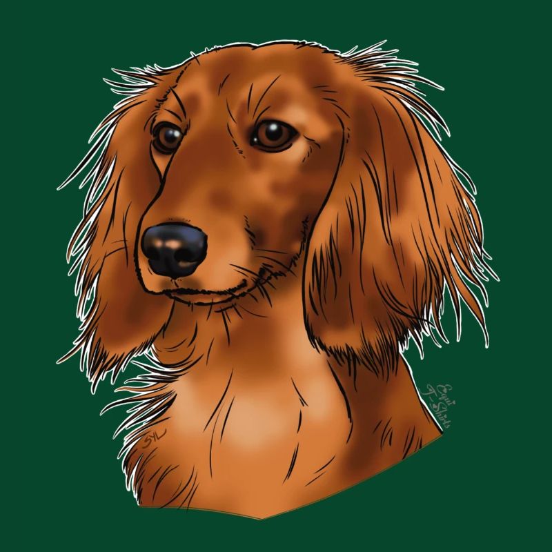 long haired dachshund (without text) dark textiles