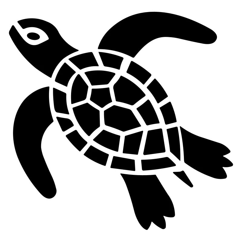 tortoise