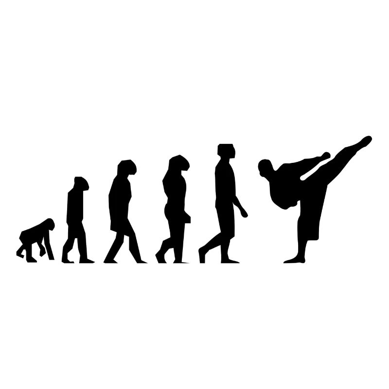 Karaté évolution