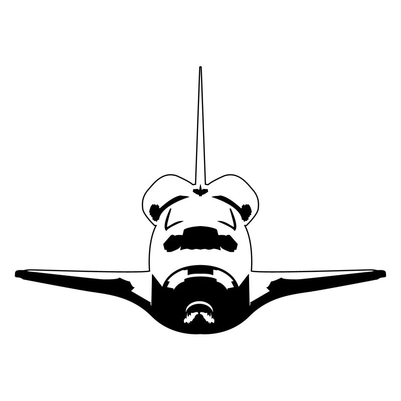 Space Shuttle