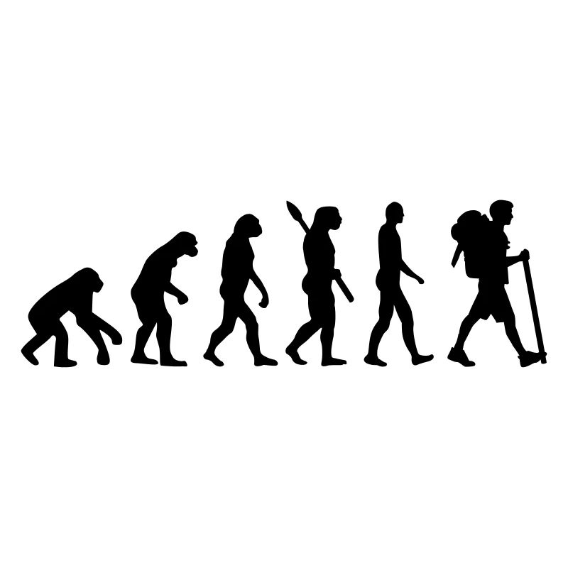 Évolution Cheminement