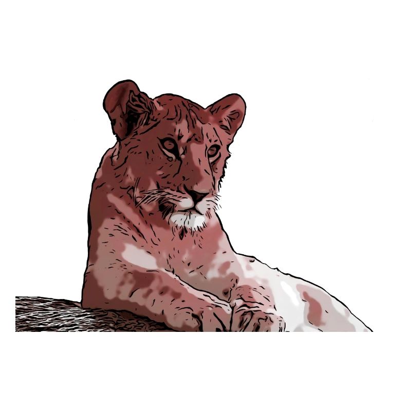 Junger Löwe