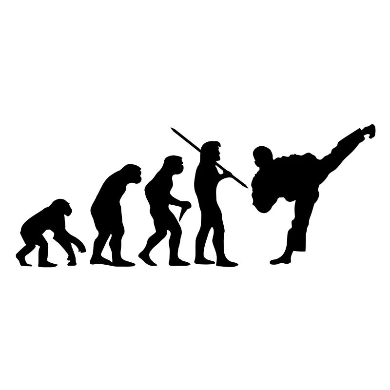 Evolution Karate/Taek Won Do