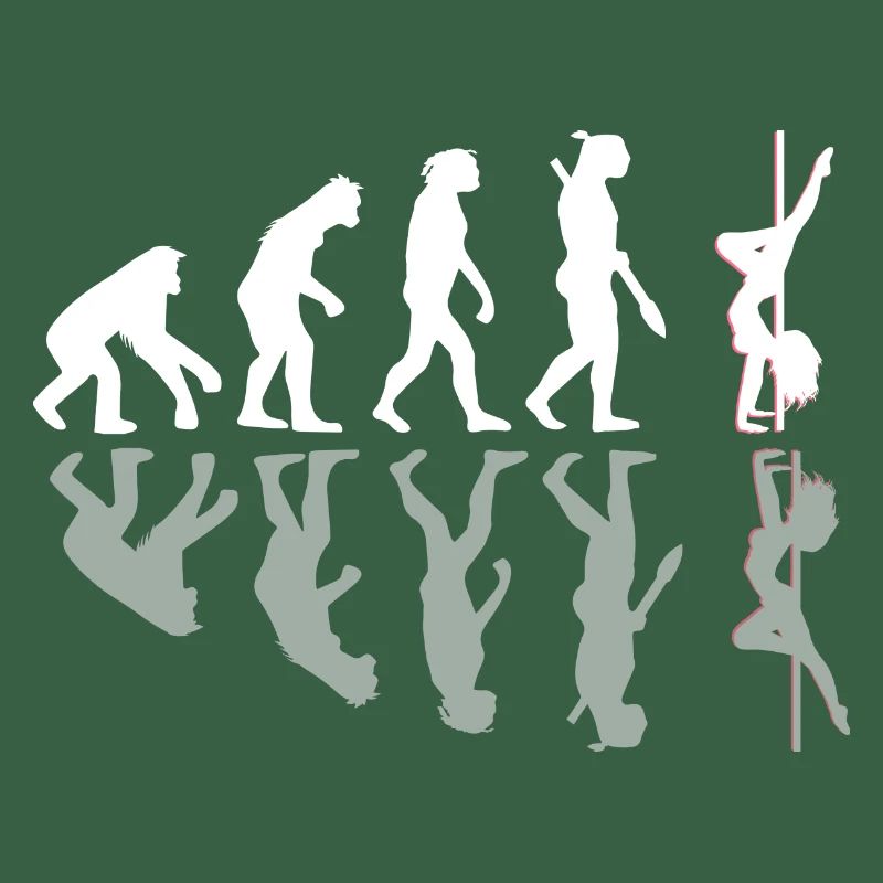 Pole Dance Evolution Geschenk Schatten