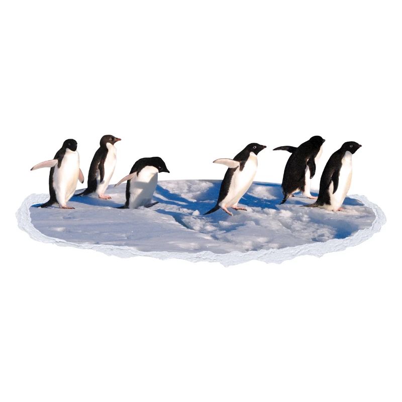 Pinguine auf einer Eisscholle Pinguin