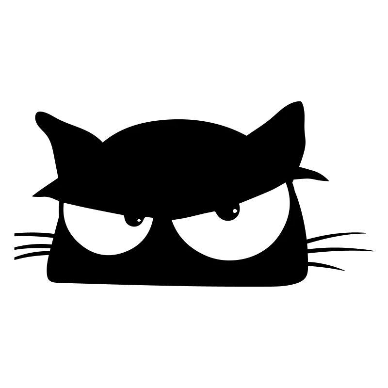 Black Cat 5 cat