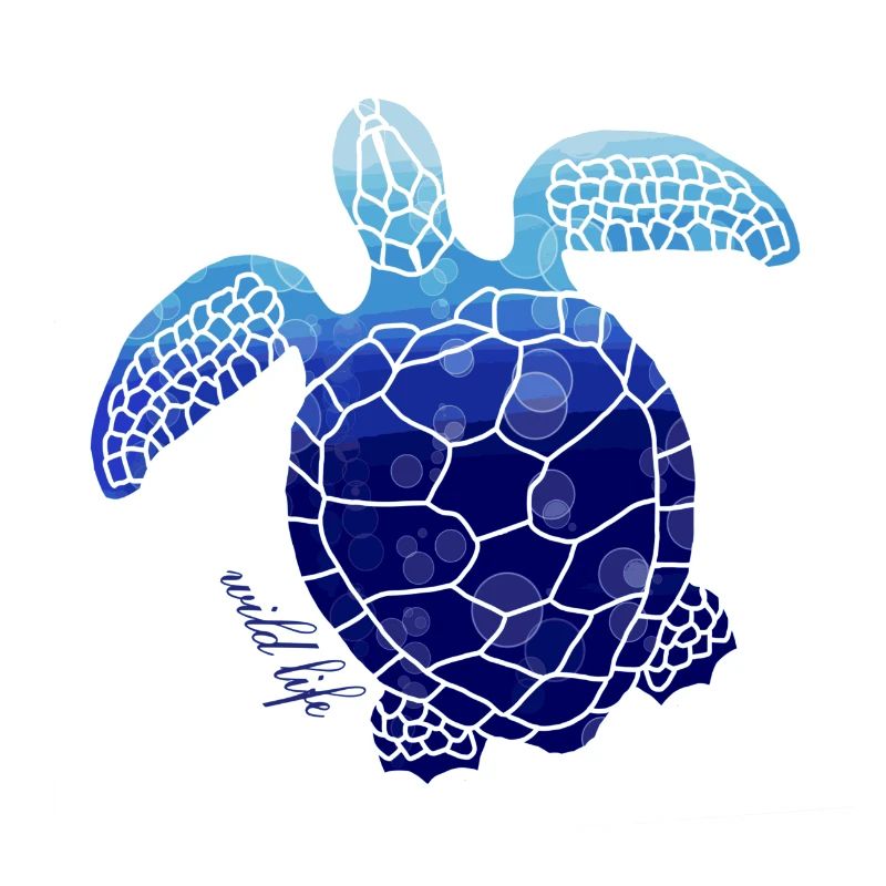 Faune tortue