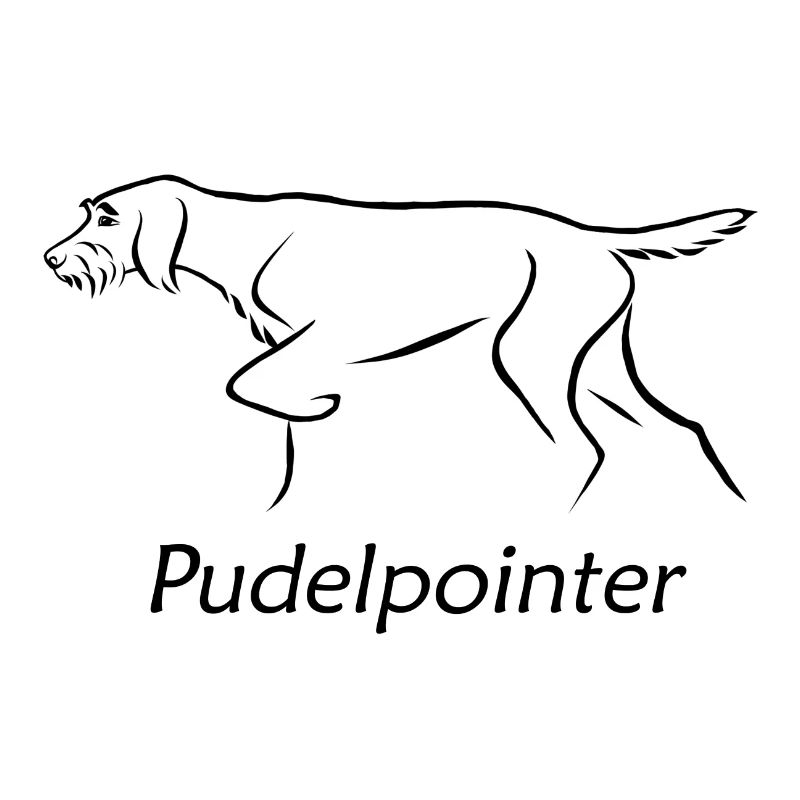 Pointeur caniche