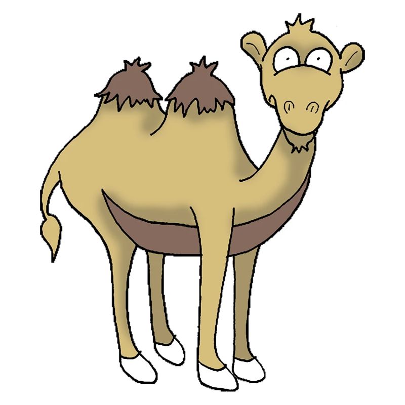 Camel