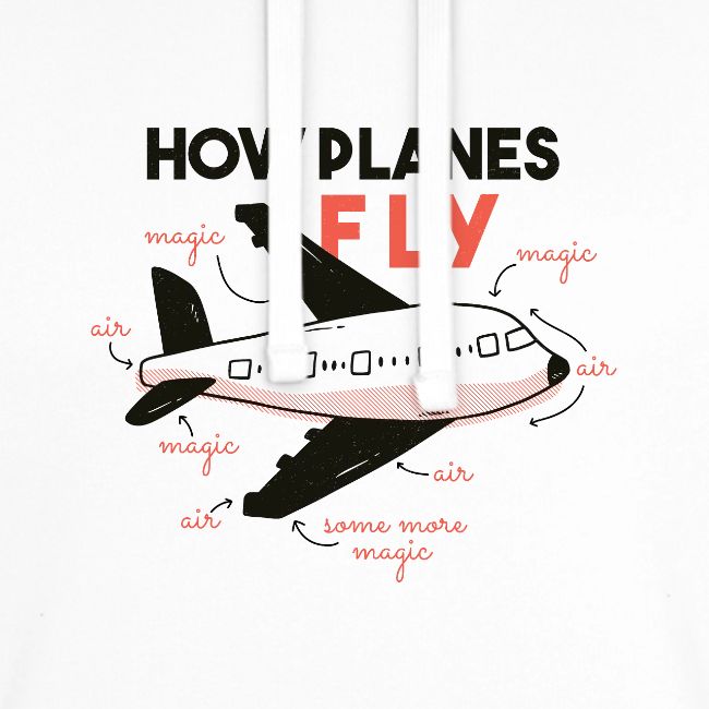How planes fly