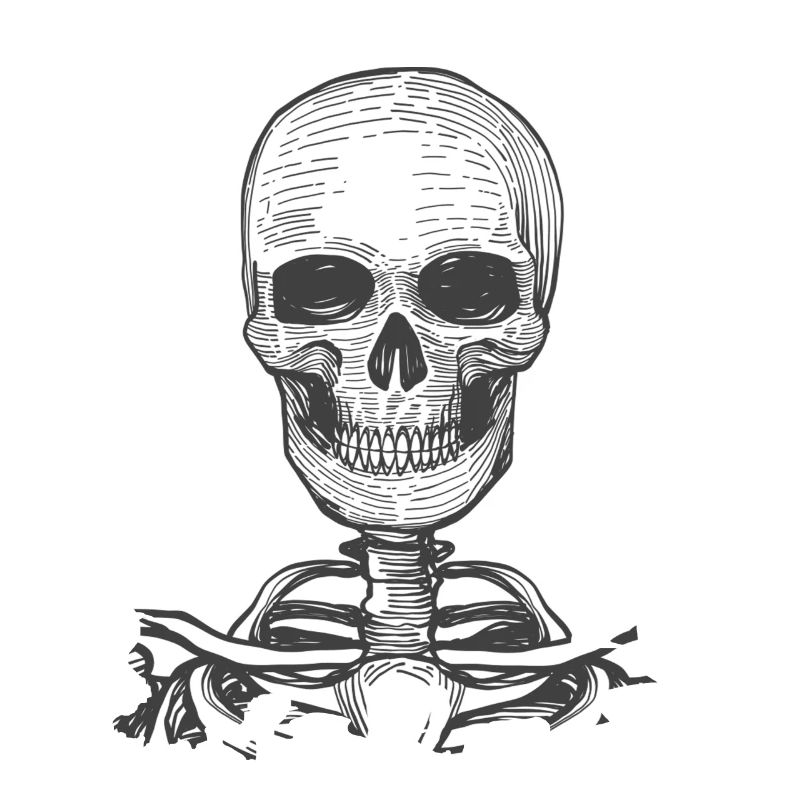 Skeleton skull with bones
