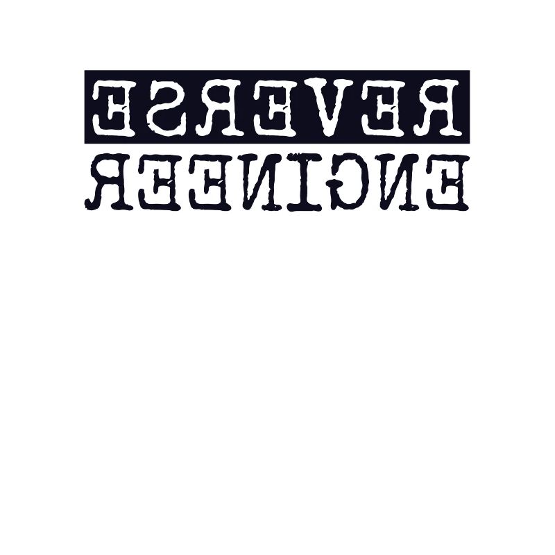 Reverse Engineer Software Engineer Developer