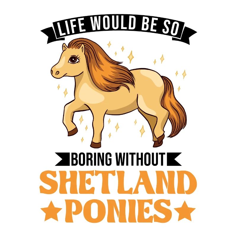 Shetland Pony Geschenk Shetty