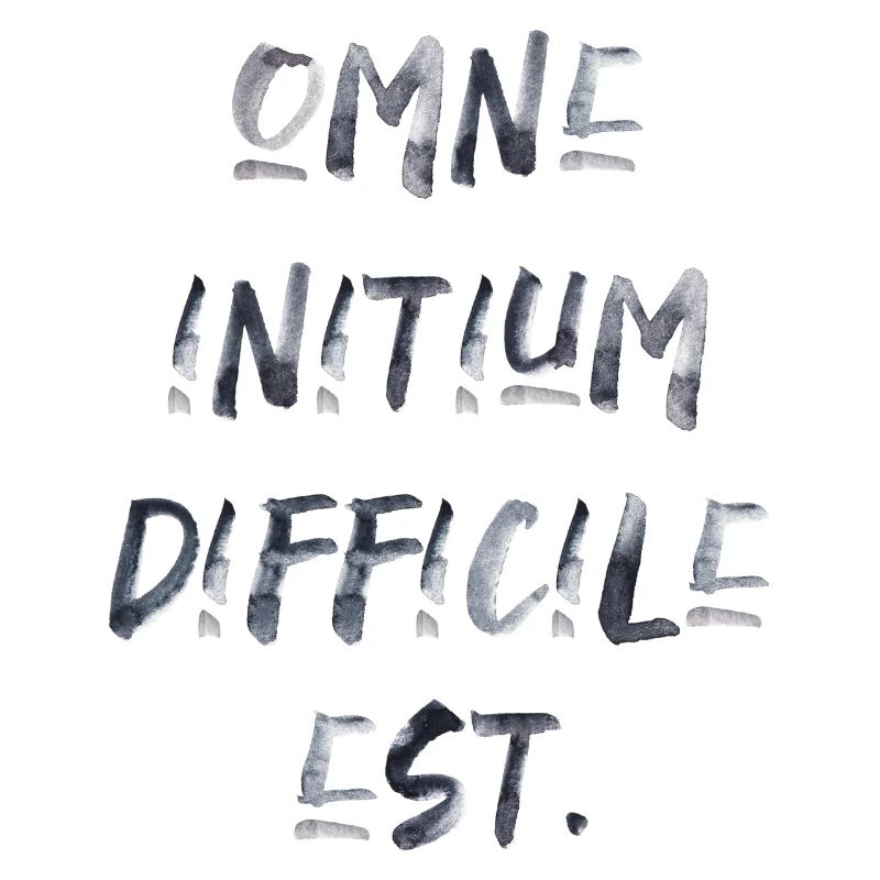 all beginning is difficult Latin quotation scripture