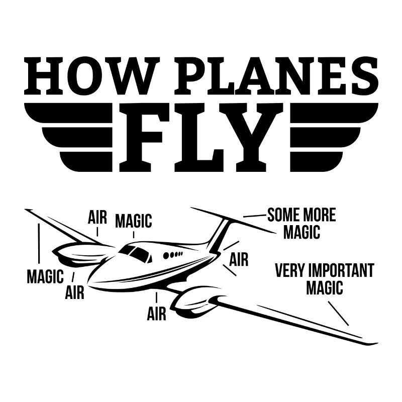How planes fly gift pilot plane copilot