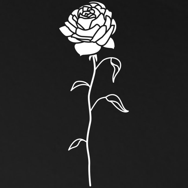 Rose | Rosa | Illustration