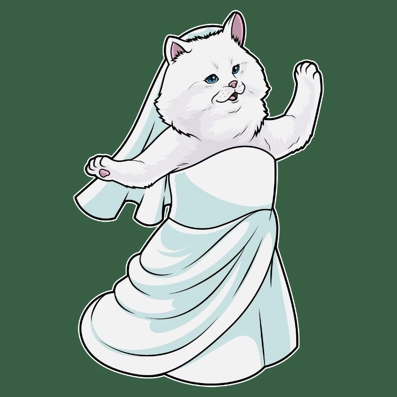 Chat persan robe de mariée
