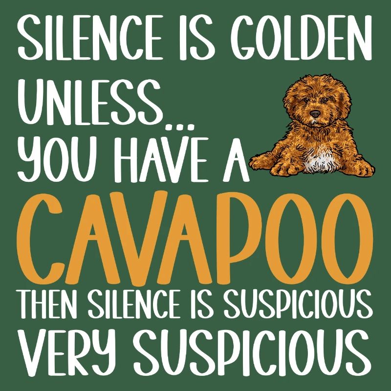 Cavapoo Cavoodle Capoodle Hund