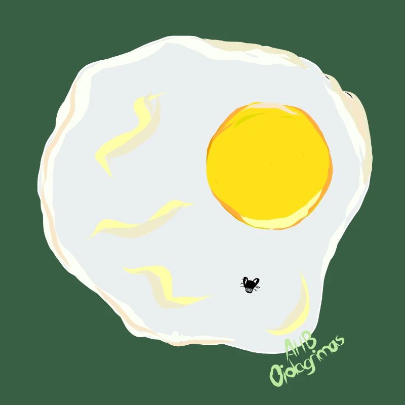 FRIED EGG v fly