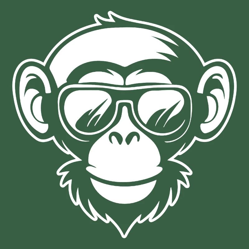 Singe Singe Visage de Singe Jungle