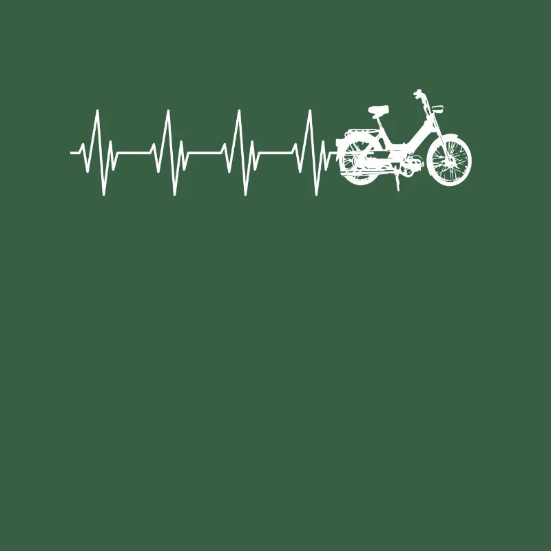 DDR Mobylette Oldtimer Roller Mofa Scooter 2 Takter