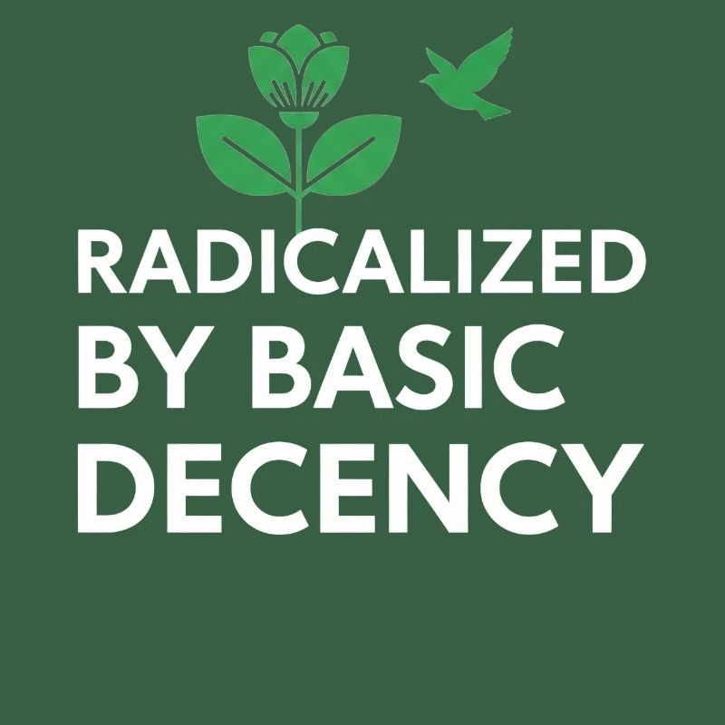 Radicalized By Basic Decency Statement shirt decal