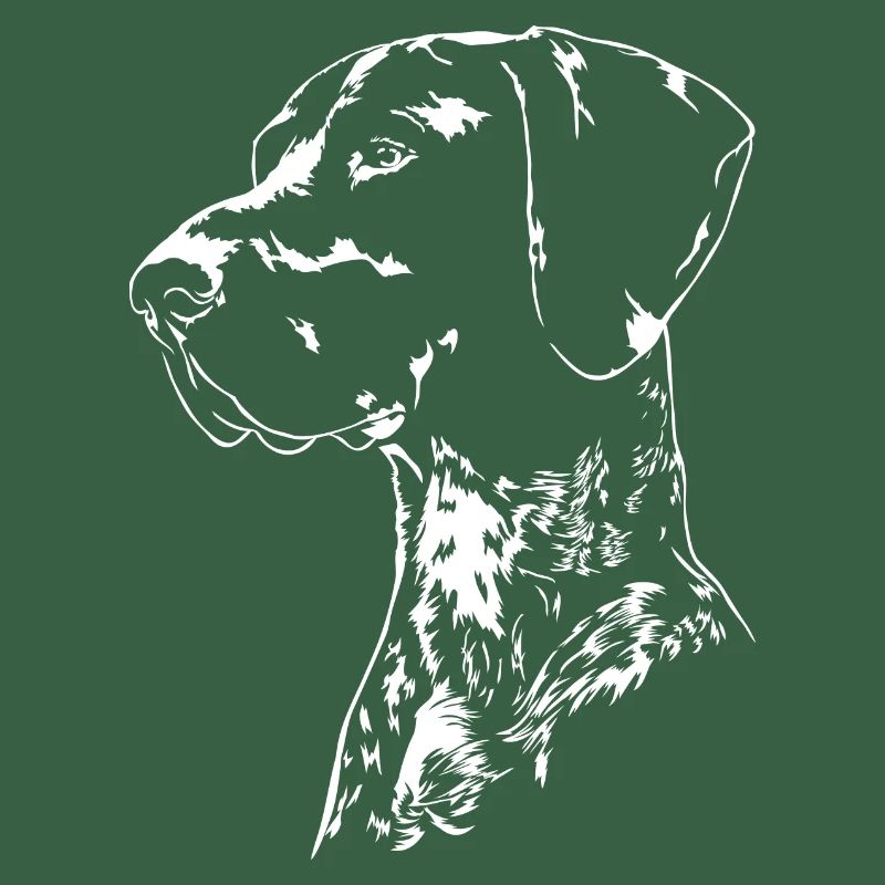 DEUTSCH KURZHAAR Jagdhunde Jagdhund Wilsigns