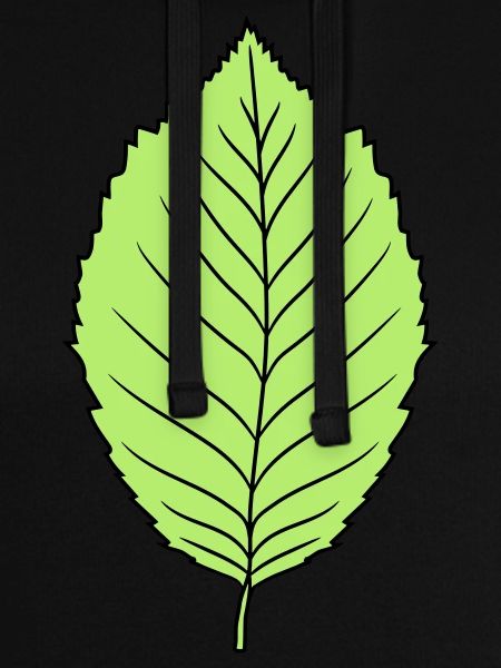 foresta di disegno di clip art di forma dell'albero pianta foglia di faggio